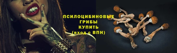 амф Вязьма