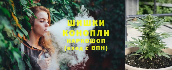 амф Вязьма