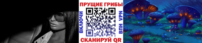 Псилоцибиновые грибы Cubensis  Купить  Волчанск 