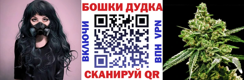 Купить где  Волчанск  Канабис сатива 